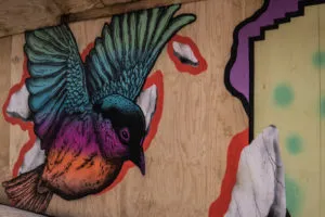 graffiti kolorowy ptak